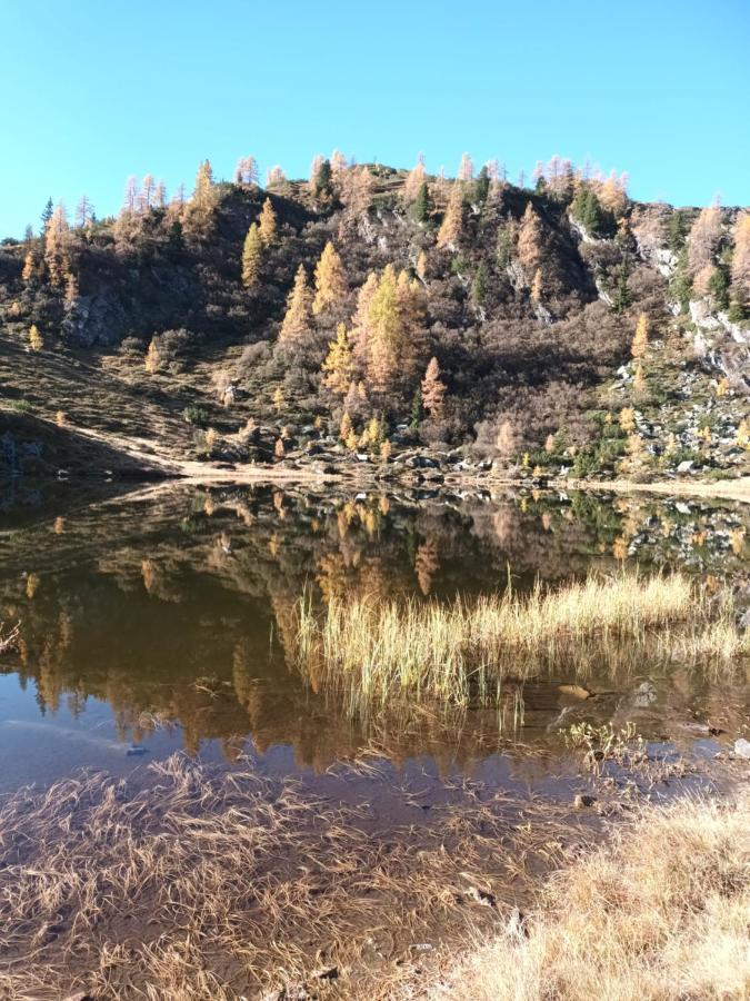 Himmlisch Urlauben In Pichl Lägenhet Schladming Exteriör bild